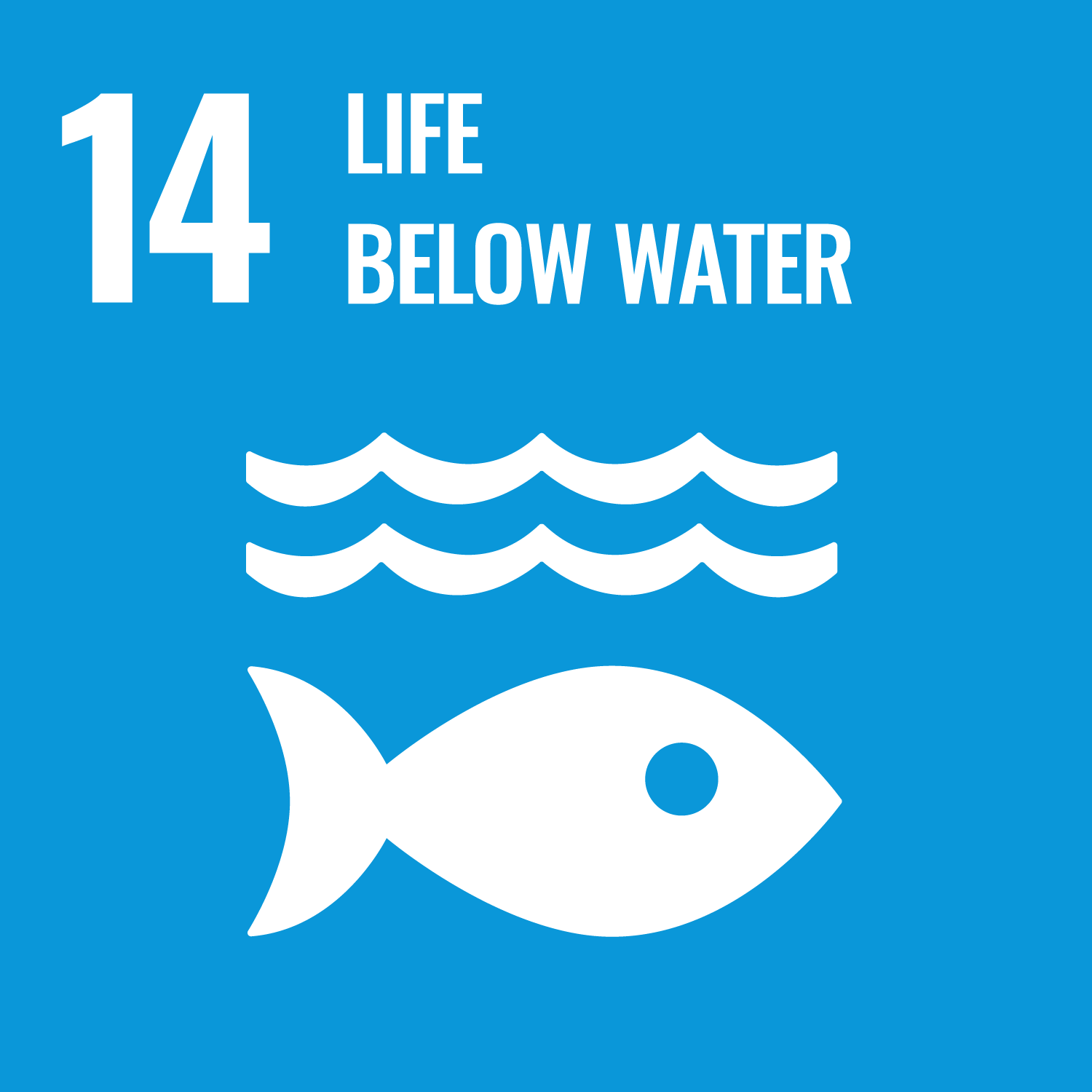 14:Life Below Water